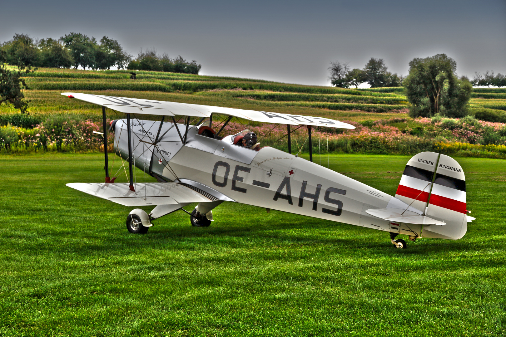 bücker