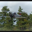 Bücker Bü 133 Jungmeister