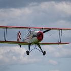 Bücker im Anflug