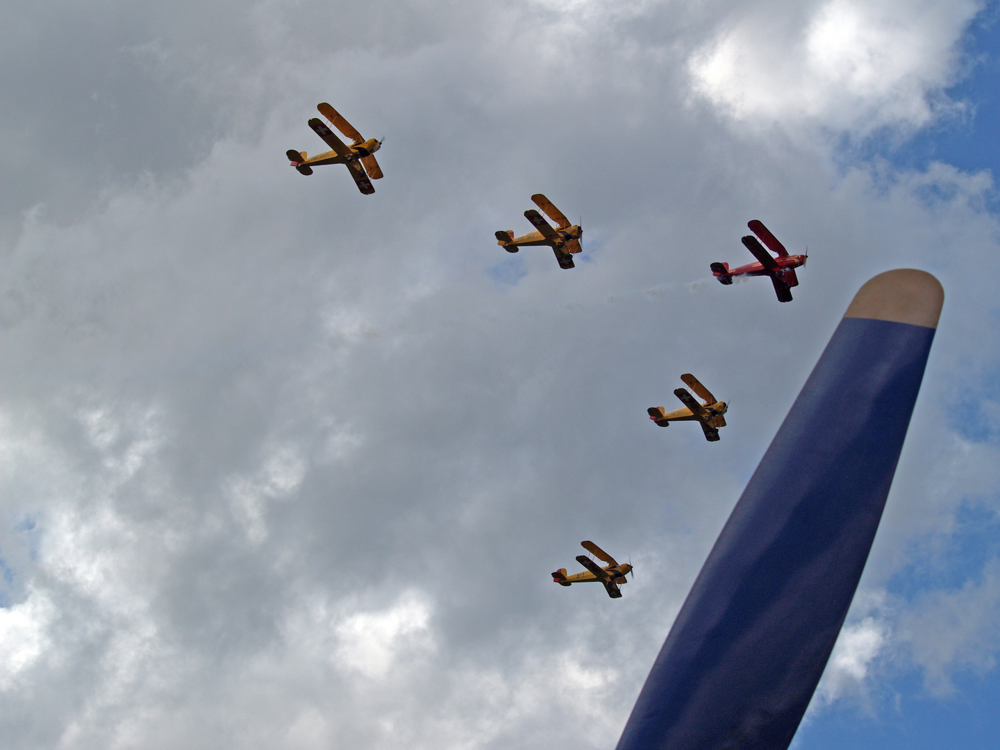 Bücker in Formation