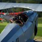 Bücker in Warteposition