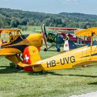 Bücker Jungmann 131B