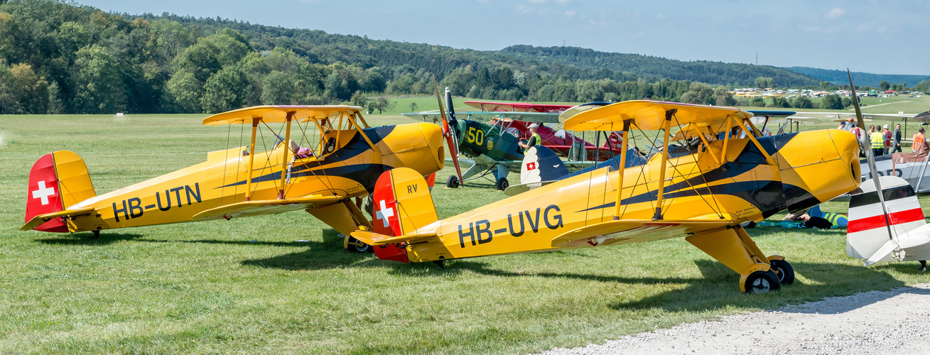 Bücker Jungmann 131B