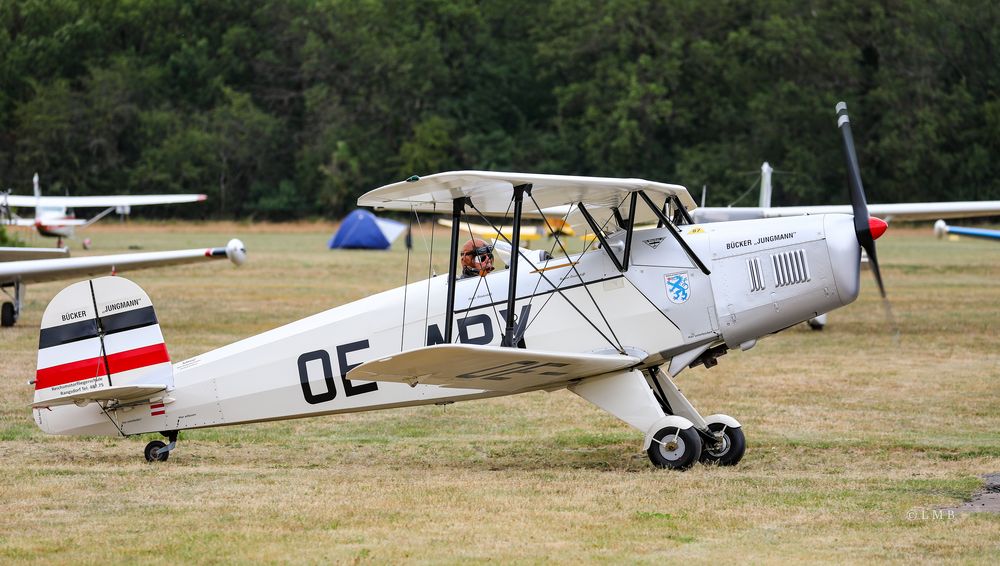 Bücker Jungmann