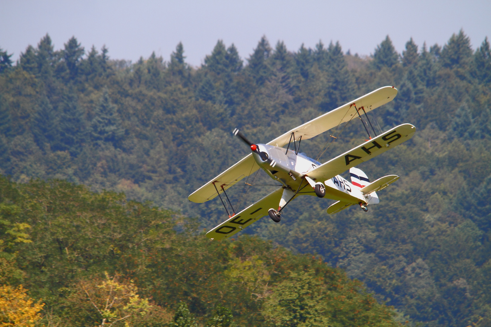 Bücker Jungmann