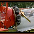 Bücker Jungmeister