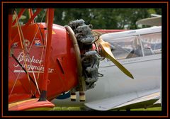 Bücker Jungmeister