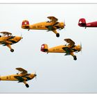 Bücker-Squadron