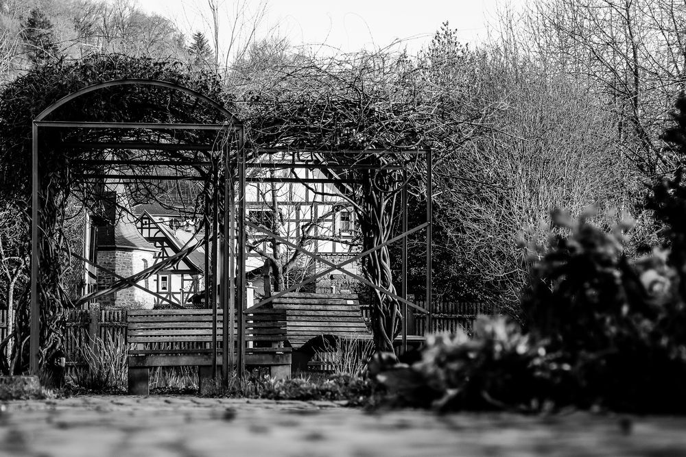 büdingen - garten kölsch