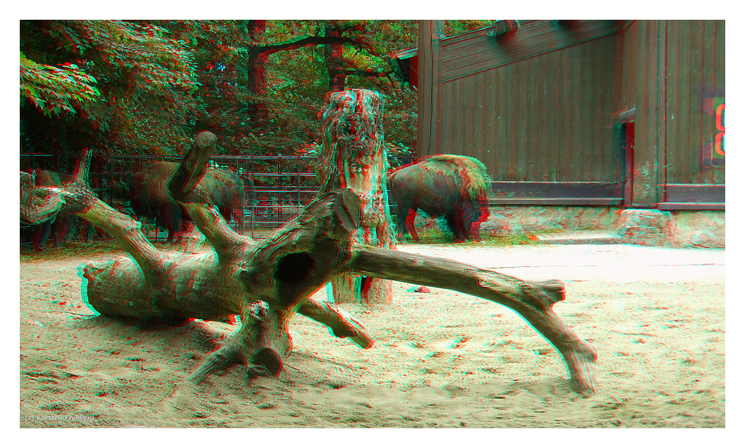 ,,Büffel-Mobiliar'' in 3D (Rot/Cyan)