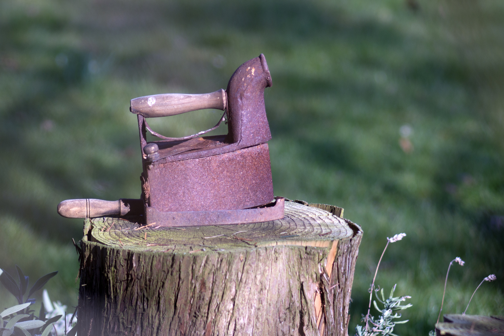 Bügeleisen im Garten