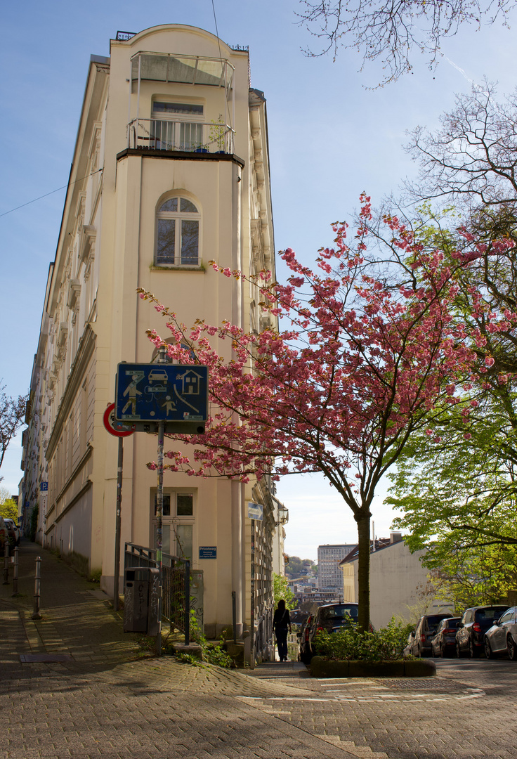 Buegeleisenhaus1