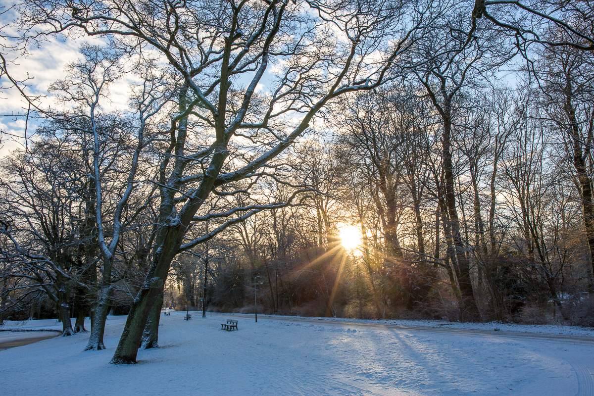 Bügerpark Bremen I