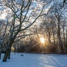 Bügerpark Bremen I