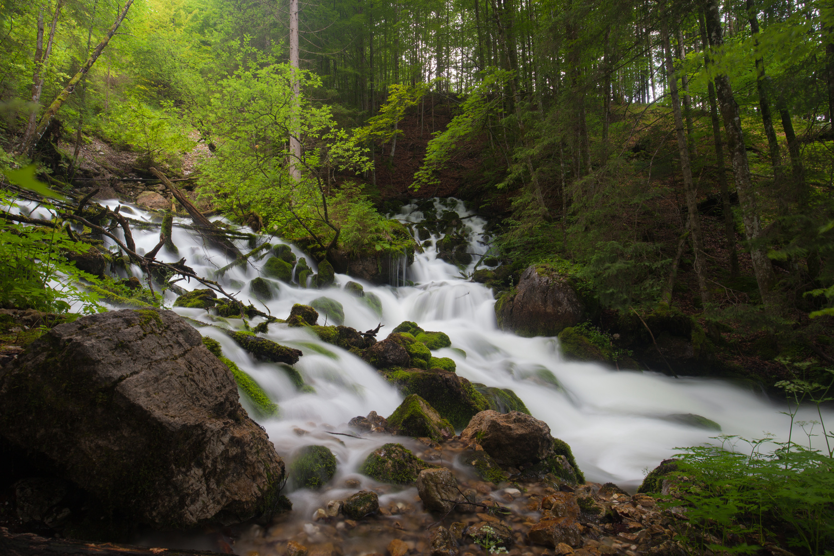 Bühelbach Ursprung