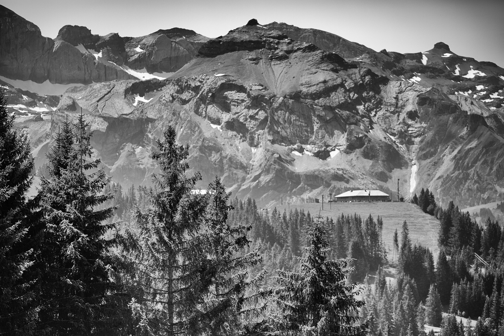 Bühlberg oberhalb der Lenk