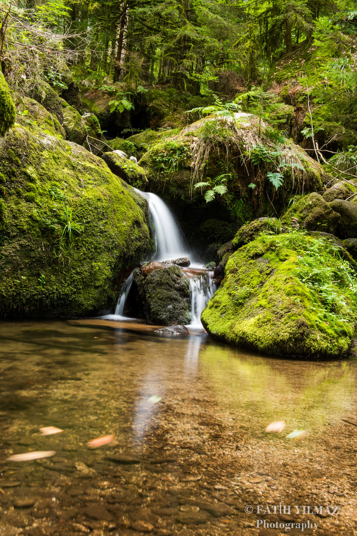 Bühlertal Wasserfall