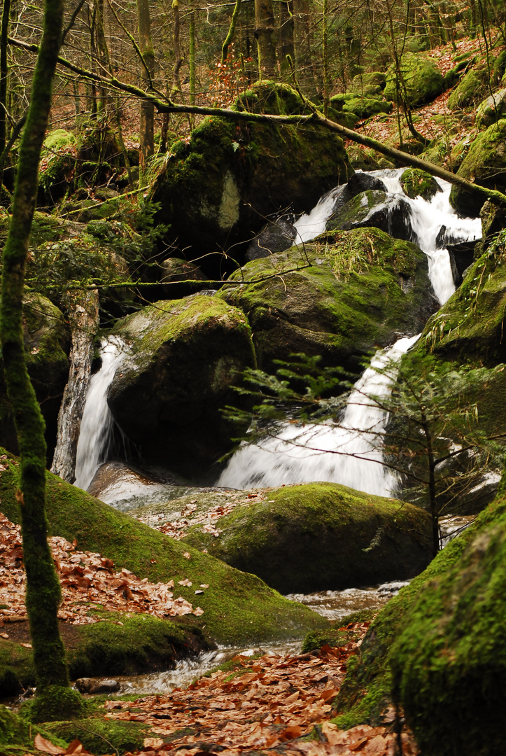 Bühlertal/Schwarzwald II