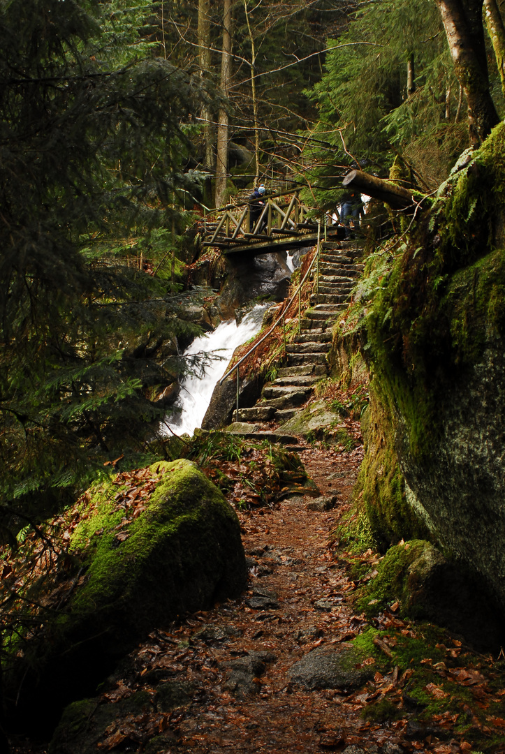 Bühlertal/Schwarzwald III