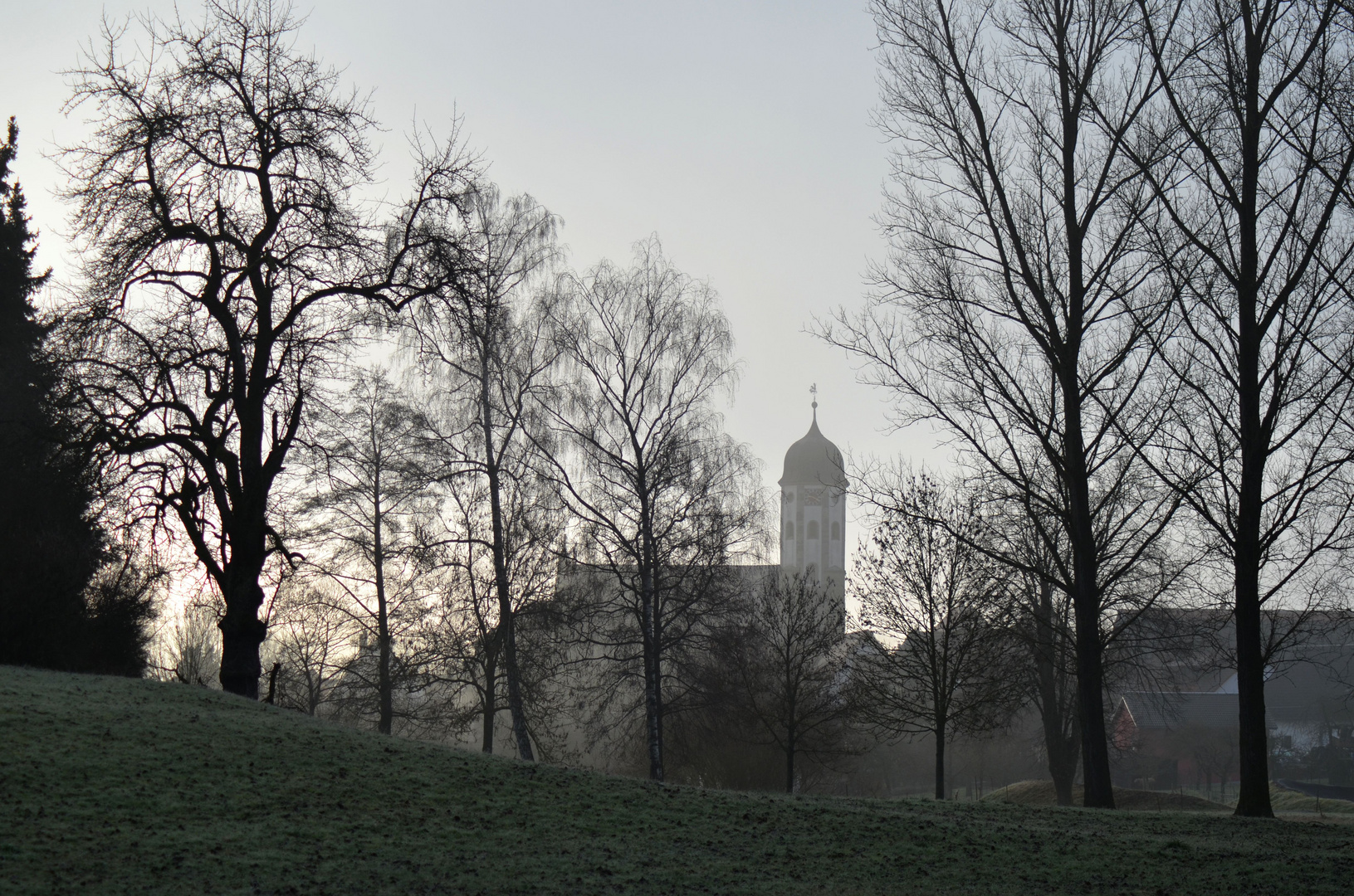 Bühlertann im Nebel