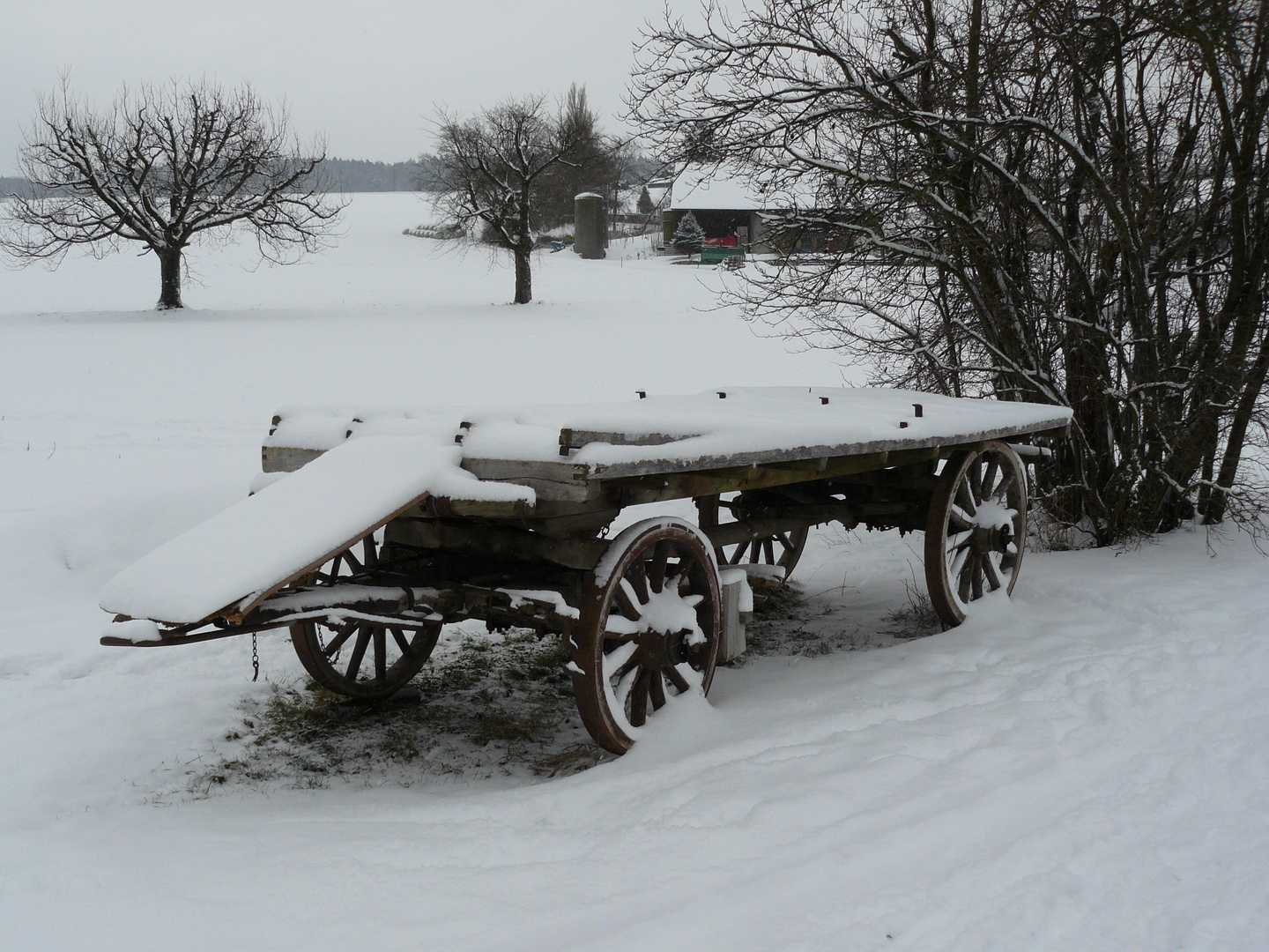 Bülach Jan/10