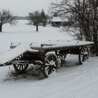 Bülach Jan/10