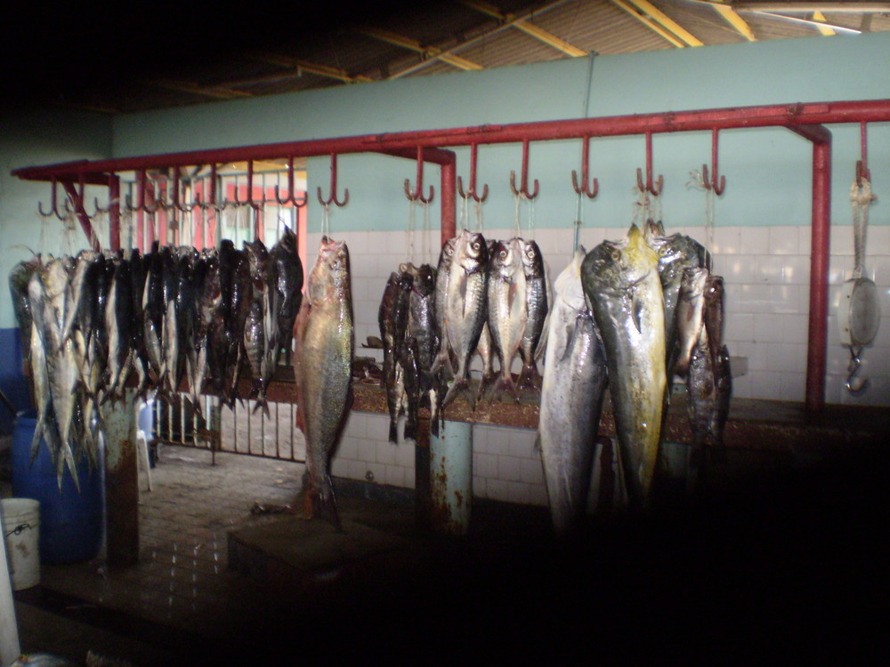 buena pesca..mejillones antofagasta chile