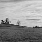 buena vista (1) - Maria-Dank-Kapelle bei Degerndorf