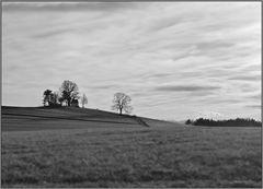 buena vista (1) - Maria-Dank-Kapelle bei Degerndorf