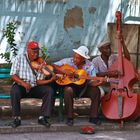 Buena Vista Social Club auf der Parkbank