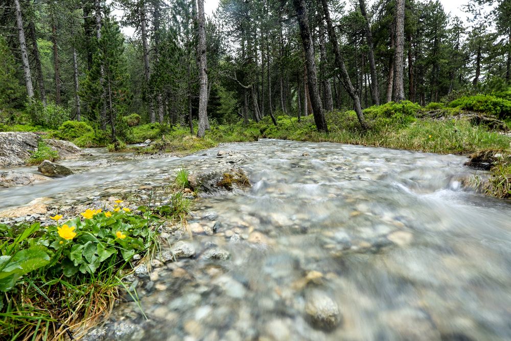 Bündner Wasser (7)