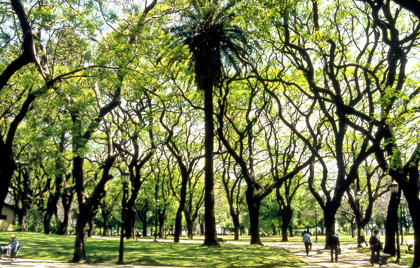 Buenos Aires im Frühling