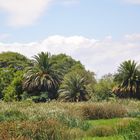 Buenos Aires - Laguna de Los Copios