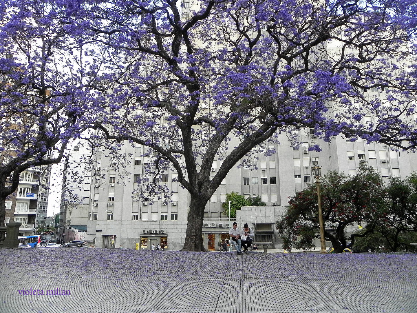 BUENOS AIRES Y SUS PLAZAS