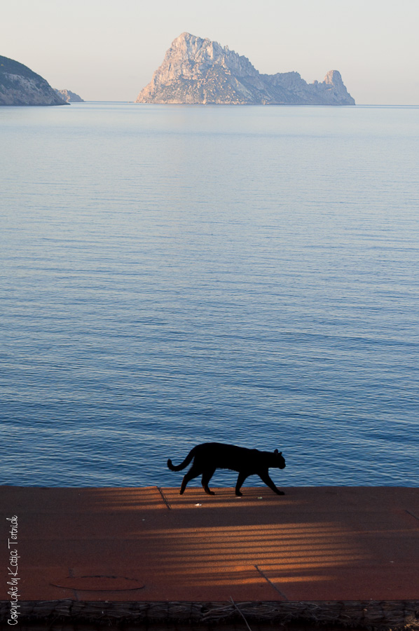 ¡buenos días Ibiza!