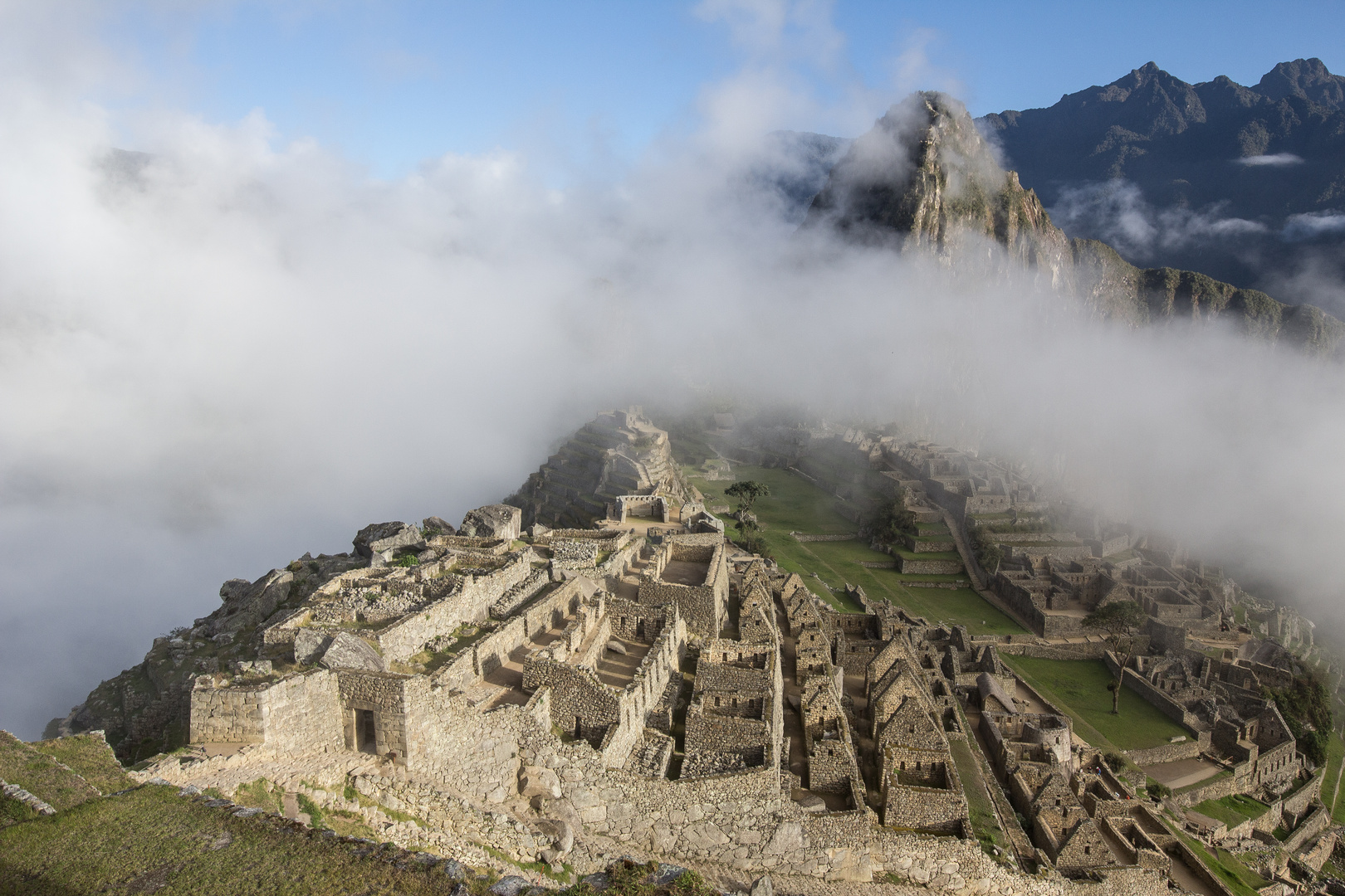 Buenos Días Machu