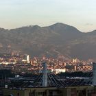 Buenos Dias Medellin