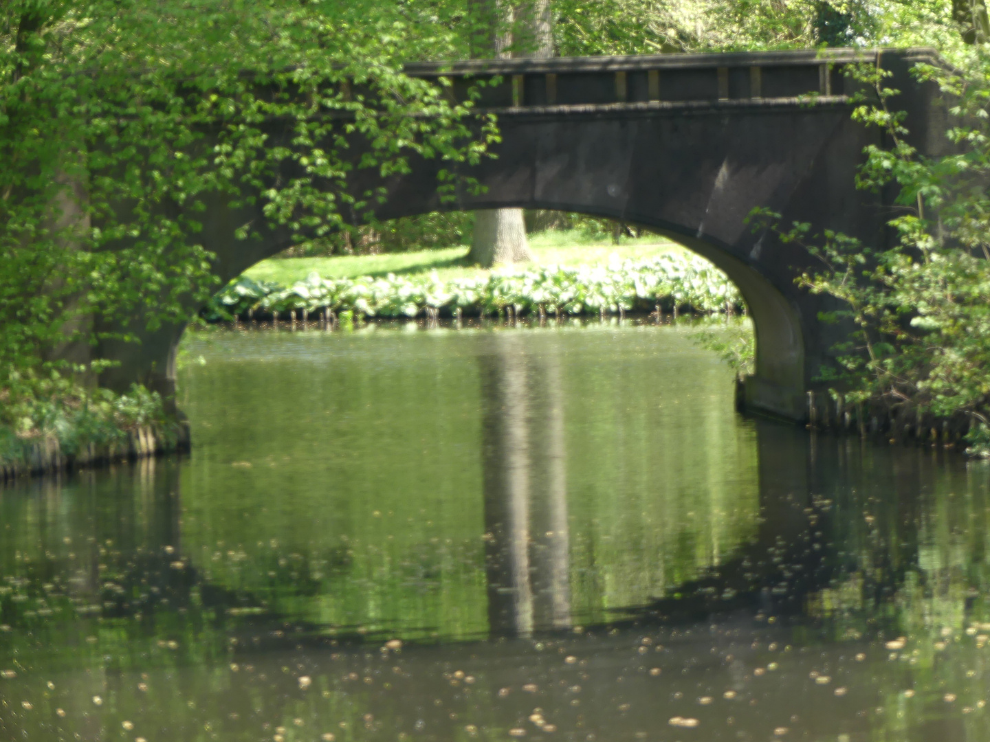 Bürger Park Bremen 