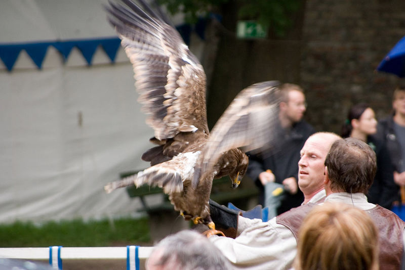 Bürgerfest in Augsburg - Falkner