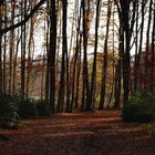 Bürgerheide im Herbst