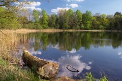 Bürgermestersee