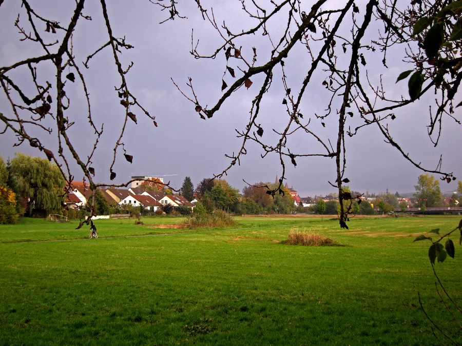 Bürgerpark