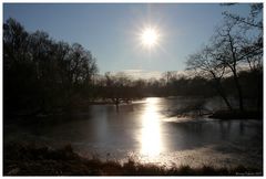 Bürgerpark...