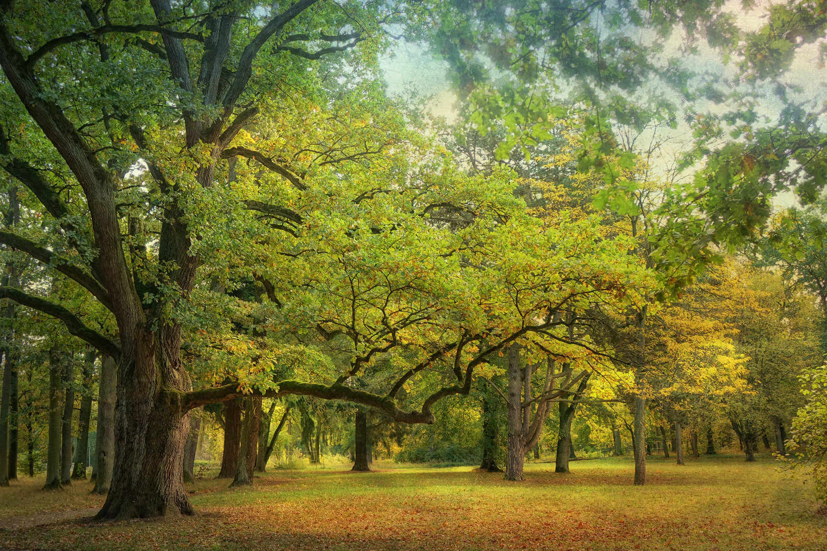 Bürgerpark Bamberger Hain II