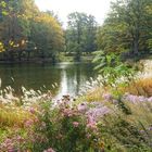 Bürgerpark Bamberger Hain III