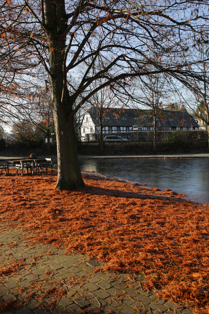 Bürgerpark Birlinghoven