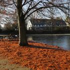 Bürgerpark Birlinghoven