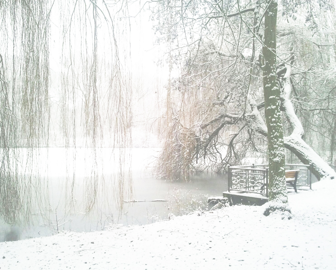 Bürgerpark Braunschweig