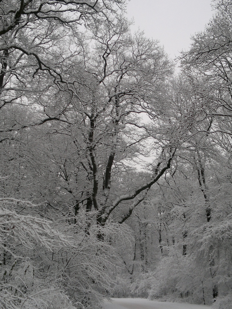 bürgerpark bremen