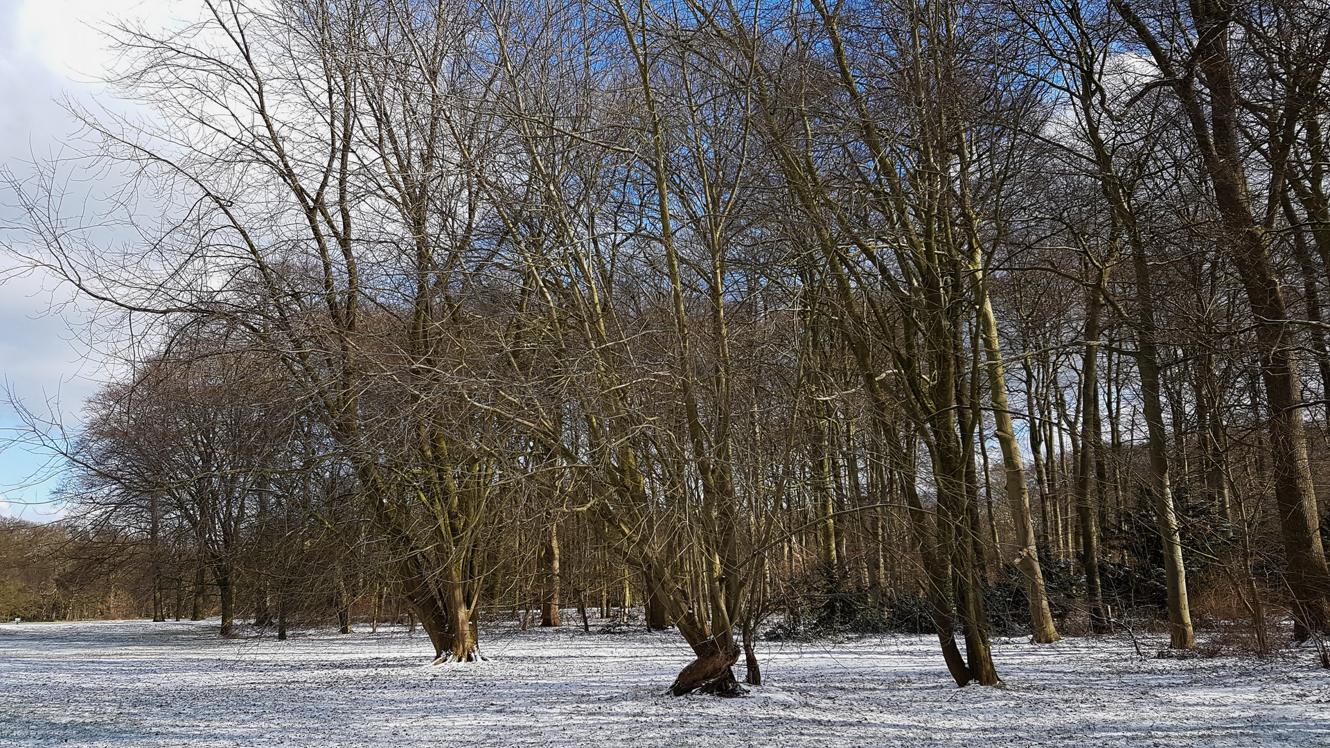 Bürgerpark Bremen